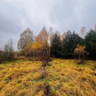 Działka na sprzedaż Działka na sprzedaż