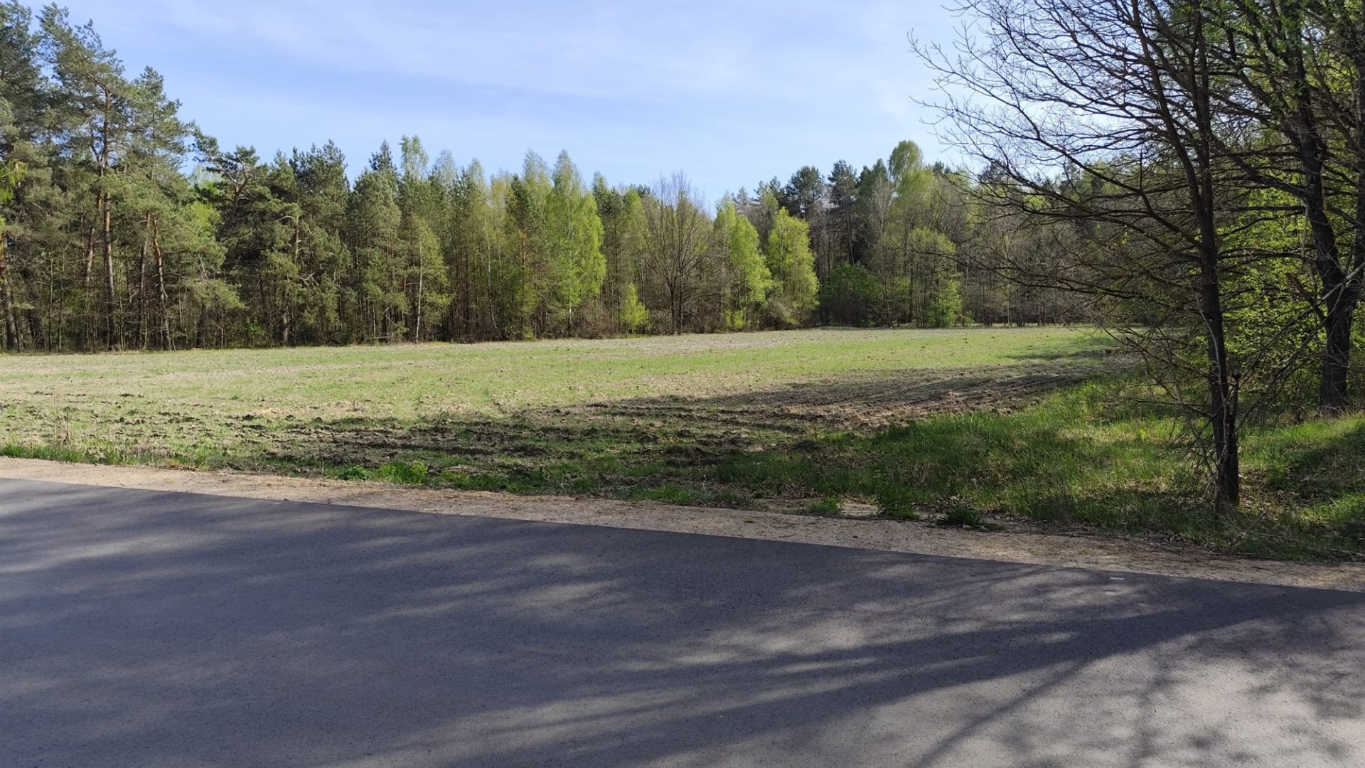 Działka na sprzedaż